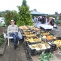 IMG_808406