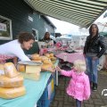 IMG_808415