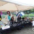 IMG_808441