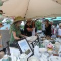 IMG_808445