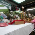 IMG_808454