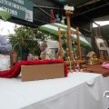 IMG_808455