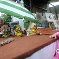 IMG_808456