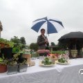 IMG_808486
