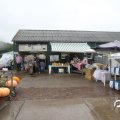 IMG_808514