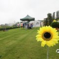 IMG_808524