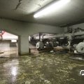IMG_809528