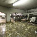 IMG_809529