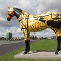 IMG_809656