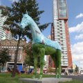 IMG_809657