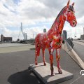 IMG_809706