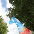 IMG_809721