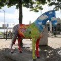 IMG_809725