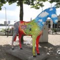 IMG_809726