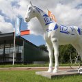 IMG_809733