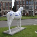 IMG_809737