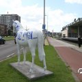 IMG_809738