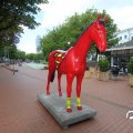 IMG_809759