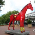 IMG_809760