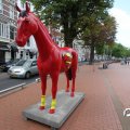 IMG_809764
