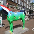 IMG_809772