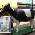 IMG_809779