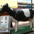 IMG_809780