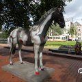 IMG_809793