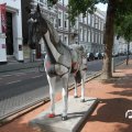 IMG_809794