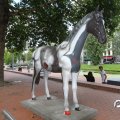 IMG_809796