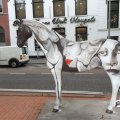 IMG_809797