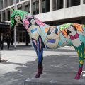 IMG_809811