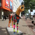 IMG_809840