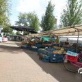 IMG_809791