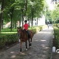 IMG_809927