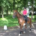 IMG_809929