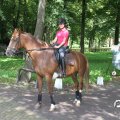 IMG_809930