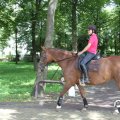 IMG_809931