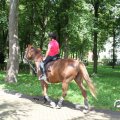 IMG_809932