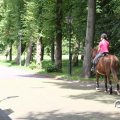 IMG_809933