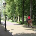 IMG_809934