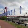 IMG_809912