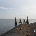 IMG_810005