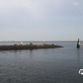 IMG_810008