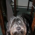 IMG_810385
