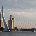 IMG_810399