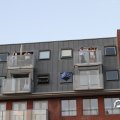 IMG_810491