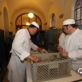 IMG_811119