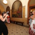 IMG_811337