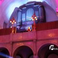 IMG_811391